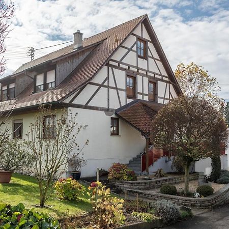 Ferienwohnung Nr 1 Deggenhausertal Exterior foto